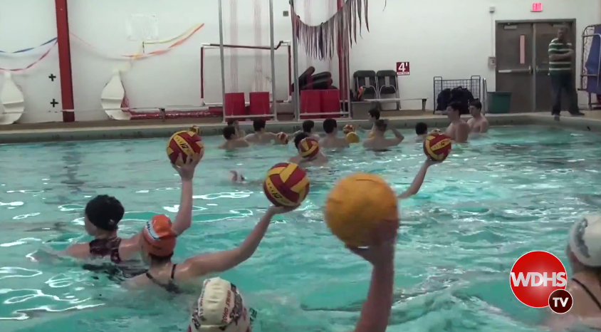 Water+polo